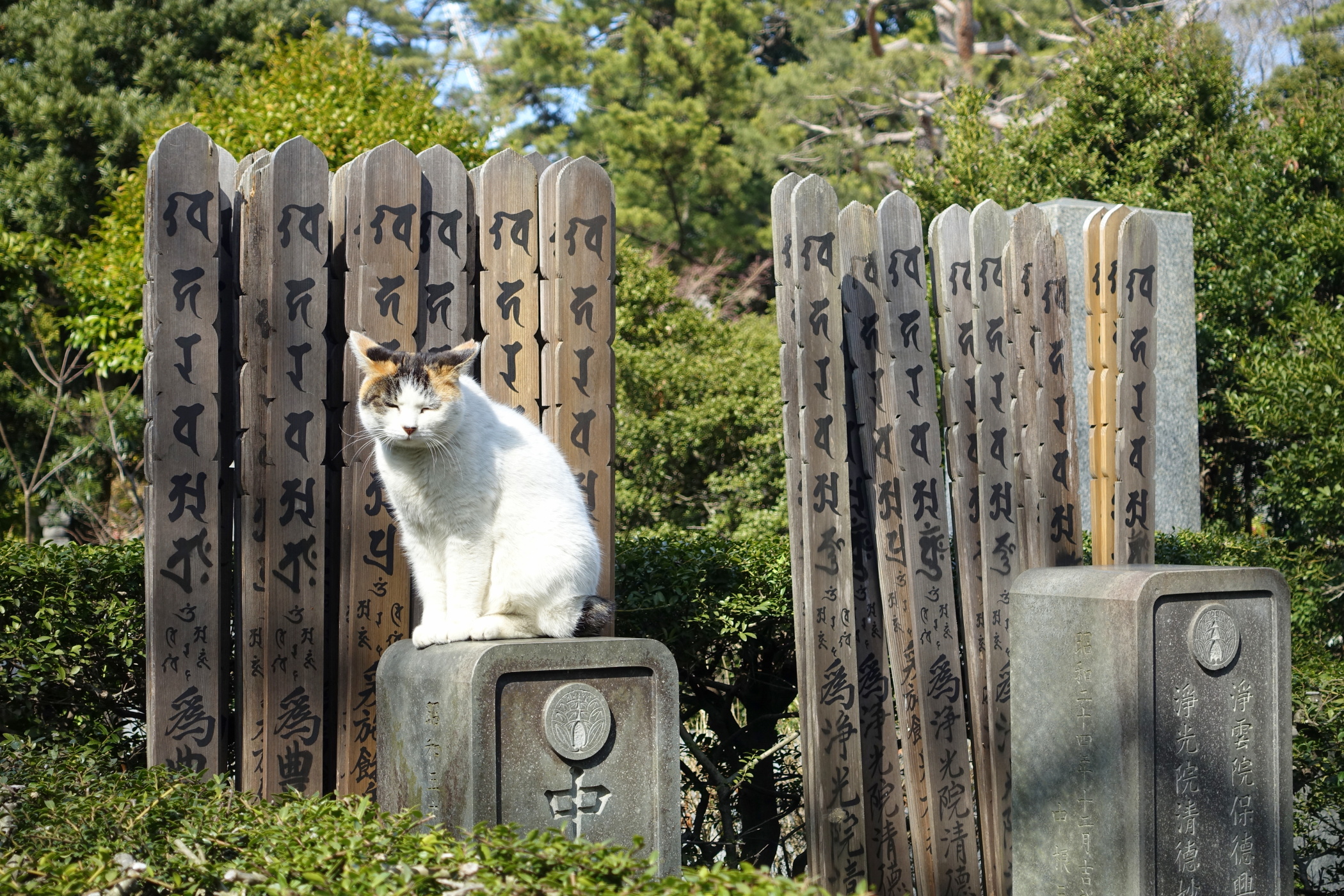 Japonský hřbitov