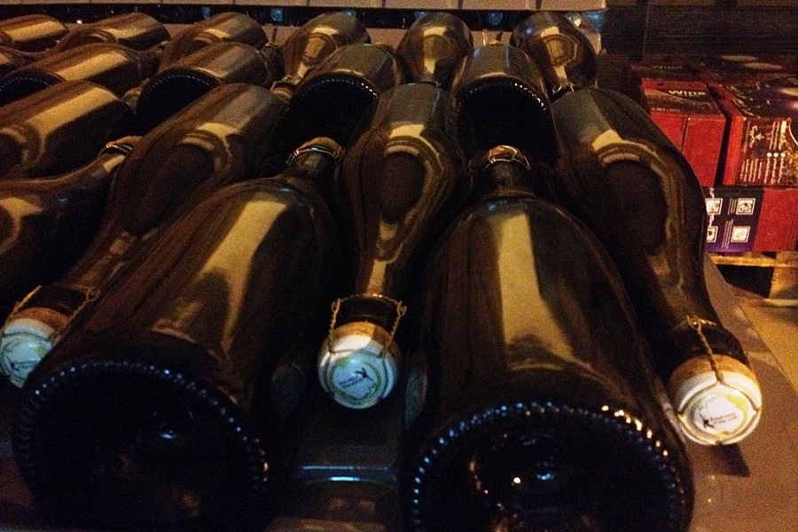 Egyptské „šampaňské“ z El Gouny nedaleko Hurghády