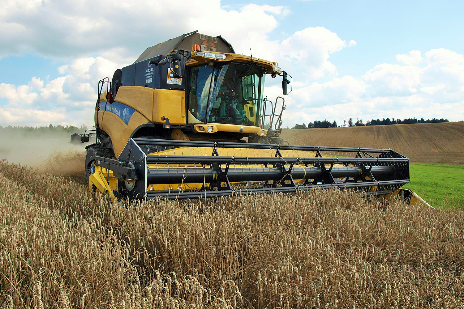 Sklizeň pšenice (ilustrační foto)