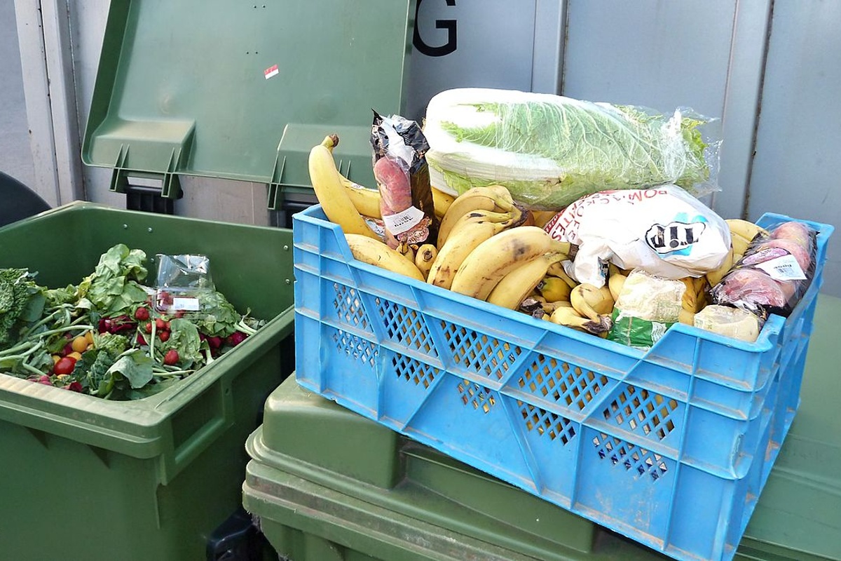 Potraviny, které freegani nacházejí v kontejnerech u supermarketů