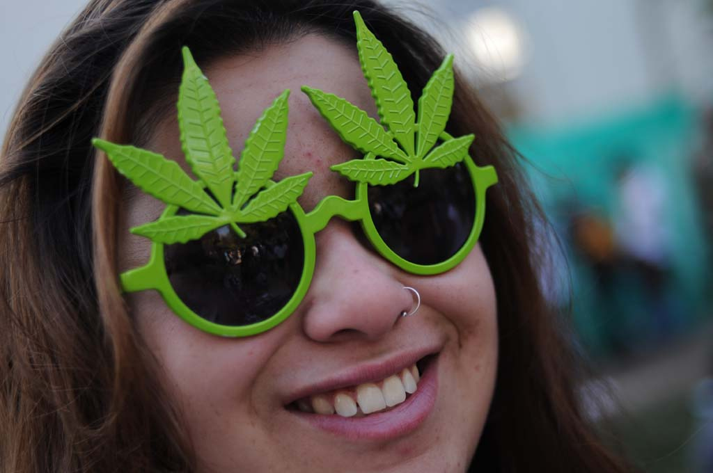 Marihuana - konopí - tráva Marihuana - konopí - tráva