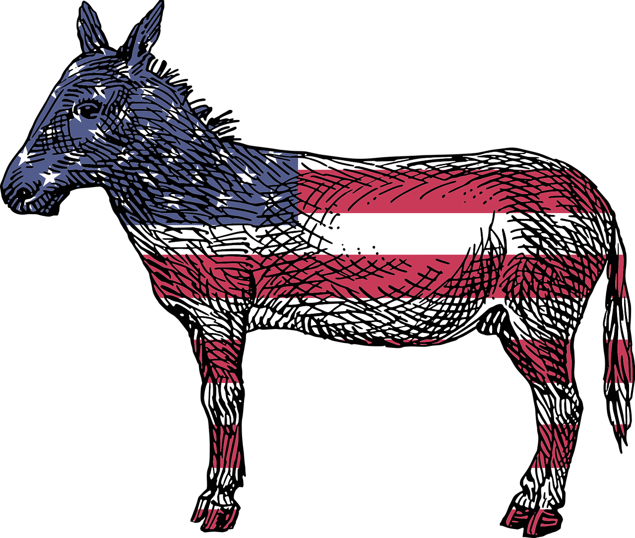 Osel je tradičním symbolem americké Demokratické strany
