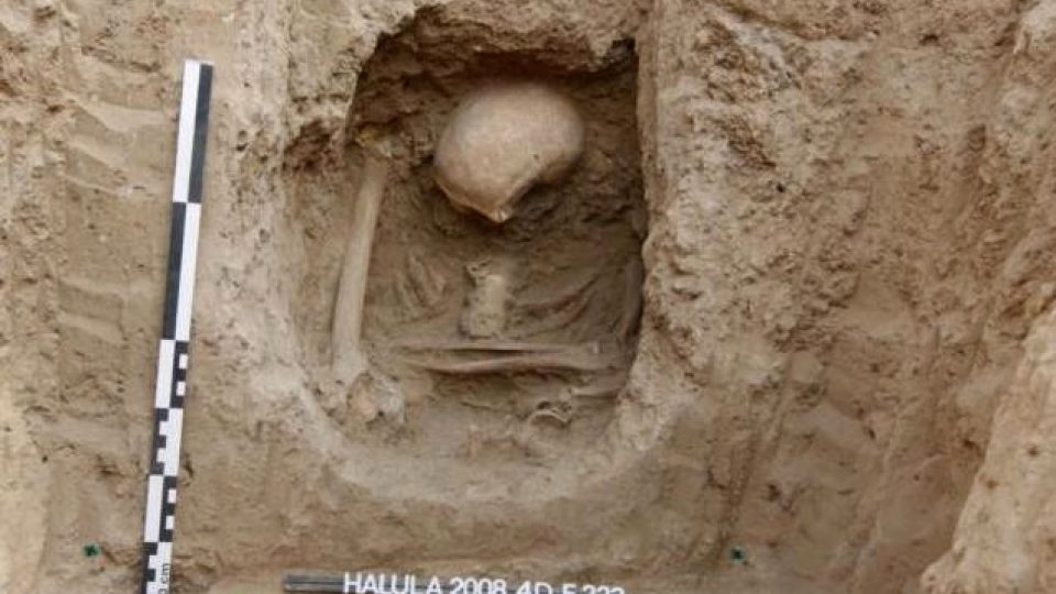 Španělští vědci zkoumají 10 500 let stará naleziště v Sýrii. Na dvou z nich, Tell Ramad a Tell Halula, se našly kostry patnácti lidí, z nichž izolovali mitochondriální DNA