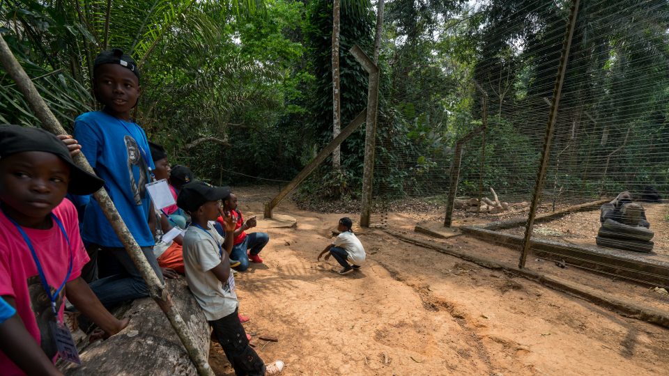 Záchranná stanice primátů v Méfou. Děti z okolí rezervace Dja poprvé vidí živé gorily