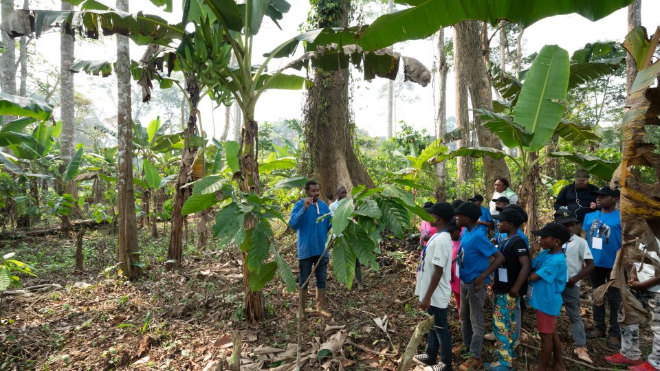 Účastníci jízdy Toulavého autobusu si prohlíží plantáž s plantainem