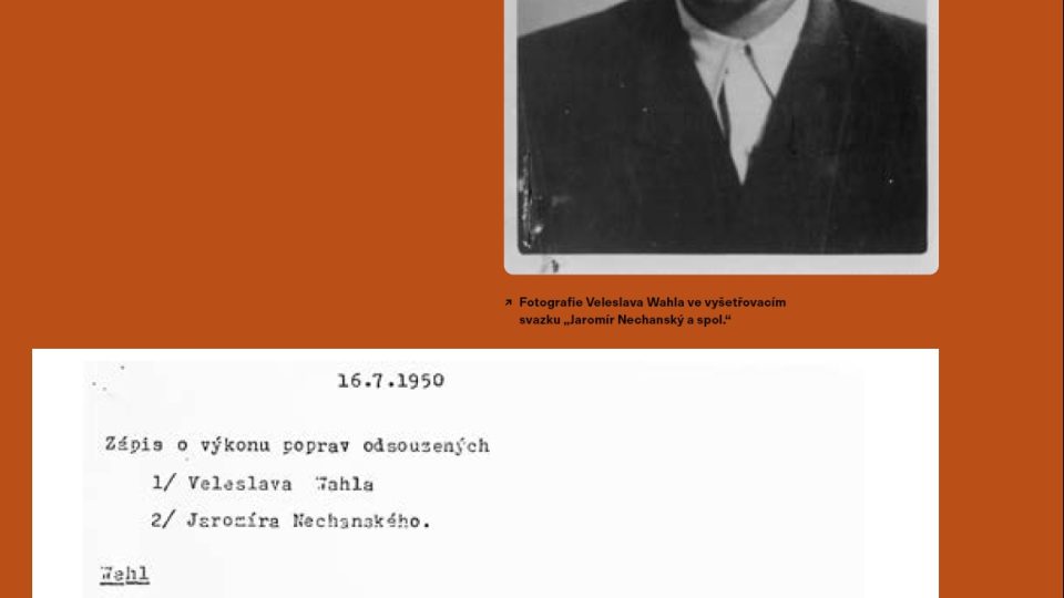 Portrét Veleslava Wahla v knize Pražské ptactvo 1800–2020