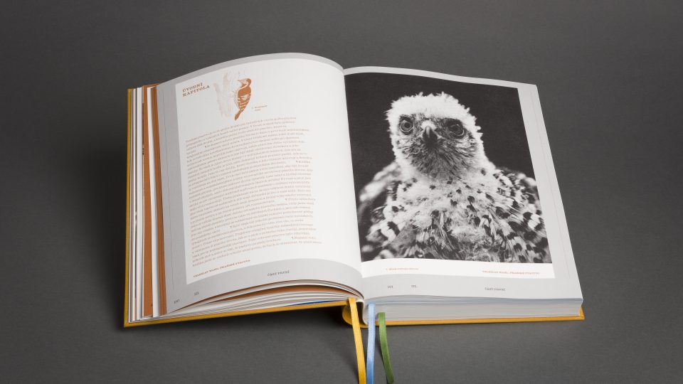 Pražské ptactvo 1800–2020 s podtitulem Ptáci – město – příběh hrdiny