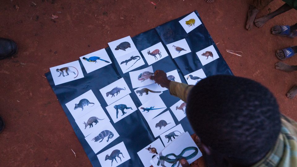 Zástupce kmene Baka řadí obrázky zvířat podle toho, kterých se nejvíc bojí
