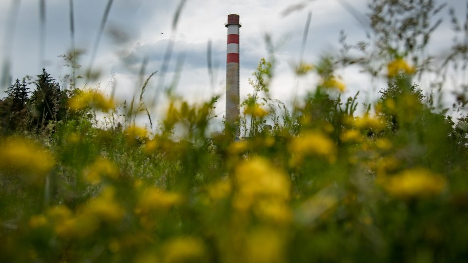 V zaniklém zahradnictví se dnes mísí pozůstatky původního účelu areálu, strach z přežití, nebo zvuky vlaků a koňských kopyt