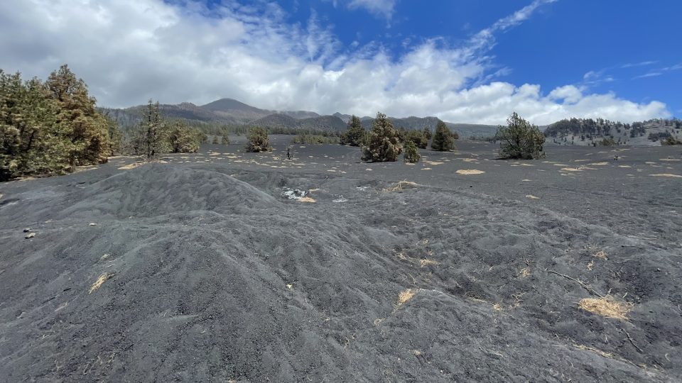 Vrstva popela je na plantáži i několik měsíců po erupci a z černé půdy trčí nahnědlé kmeny usychajících plodin