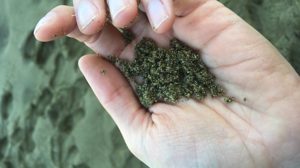 Sopečná činnost na Big Islandu dala vzniknout také unikátní pláži se zeleným pískem, jediné v Americe
