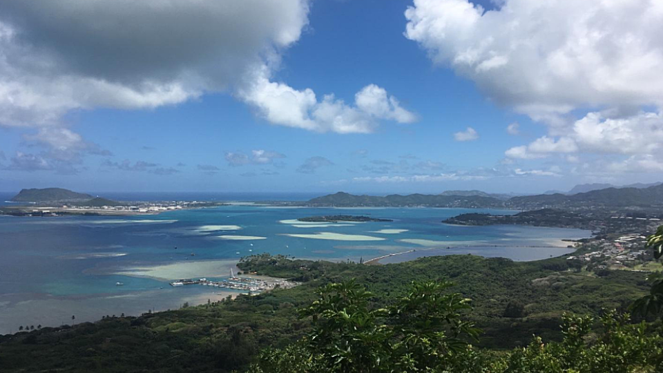 Pohled na Kaneohe Bay s Moku’o’Loe ostrovem (Kokosovým ostrovem), na kterém sídlí  Havajský institut mořské biologie.