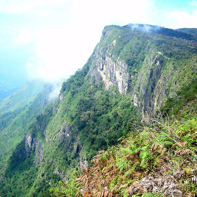 Příroda Srí Lanky | foto: Zuzana Hrdličková