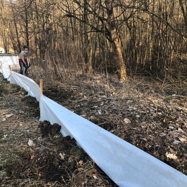 Ochranné bariéry pro migrující žáby | foto: Jana Beránková,  Český rozhlas