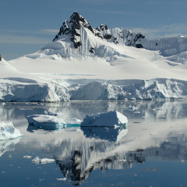Příroda se podle Attenborougha vyznačuje mohutnou sebeobnovovací silou – pokud jí to člověk umožní | foto: Profimedia