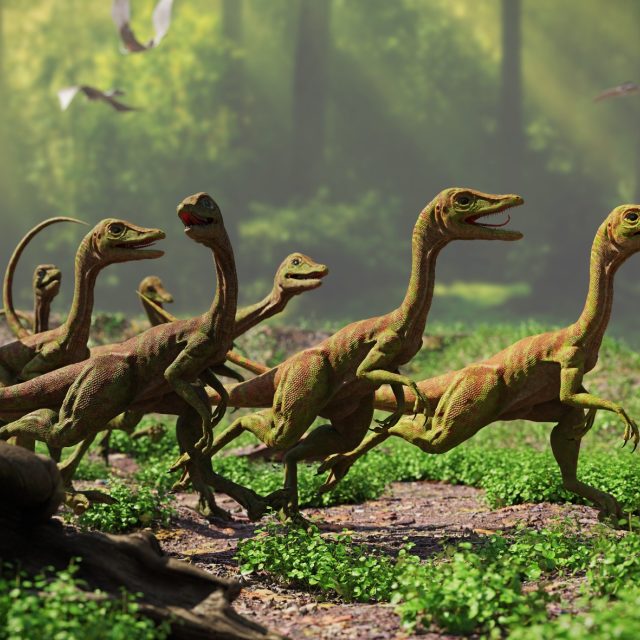 Velociraptor | foto: Shutterstock