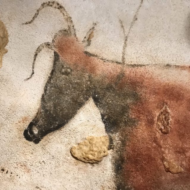 Ilustrační foto | foto: Marie Sýkorová,  Český rozhlas