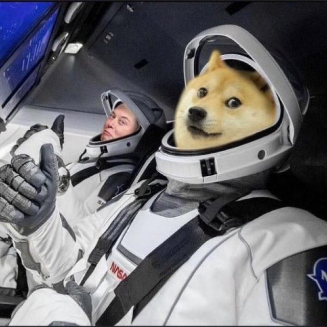 Dogecoin meme | foto: internetový humor/autor neznámý
