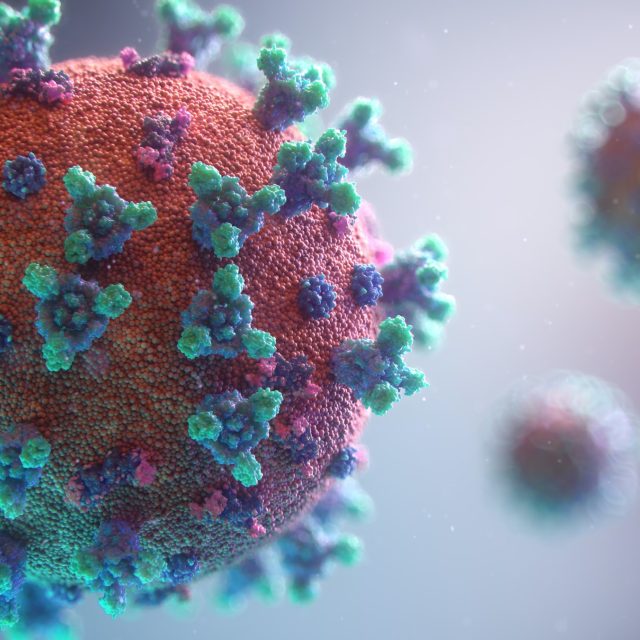 Koronavirus | foto:  Fusion Medical Animation,  Fotobanka Unsplash