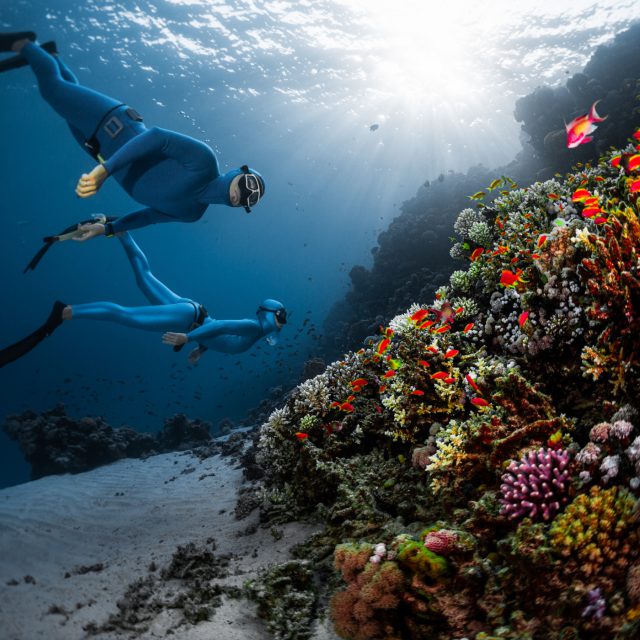 Bez dýchacích přístrojů si potápěč může ponor užít,  aniž by plašil ryby | foto: Shutterstock