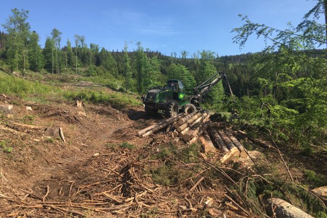 Lesníci sbírají pokácené dřevo v lese | foto: Libor Netopil,  Český rozhlas