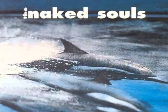 The Naked Souls - Two and One | foto:  Lost Records