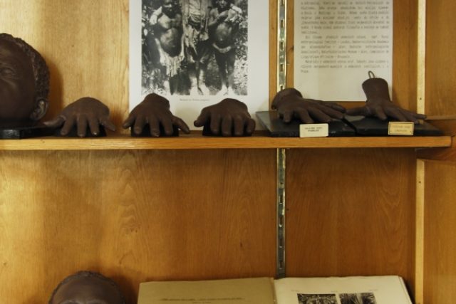 Sbírka věnovaná Pygmejům  (Hrdličkovo muzeum člověka UK) | foto: Martina Otčenášková