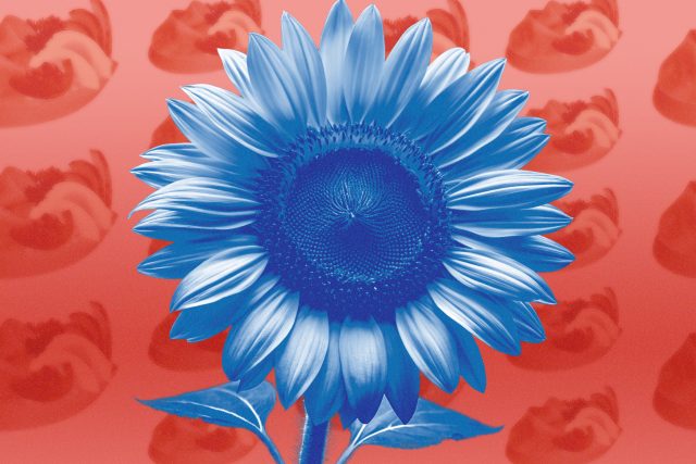 Jak Ukrajinci vnímají pokus Trumpa vyjednat s Putinem mír na Ukrajině a jak teď vnímají své propojení s EU | foto: Český rozhlas