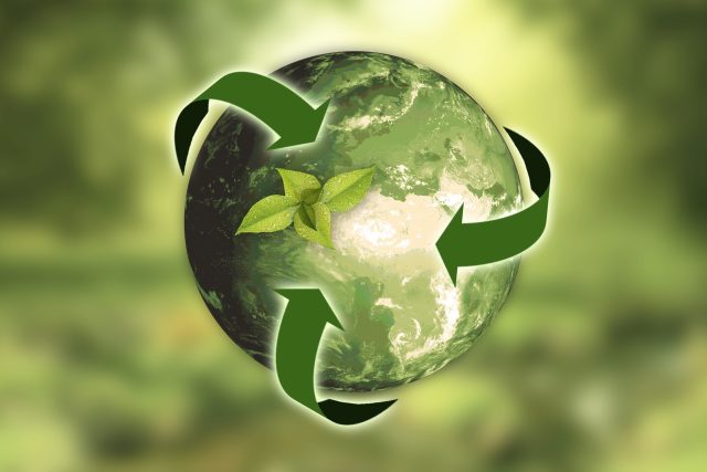 V rámci udržitelnosti se řeší ekologické,  ekonomické i sociální otázky | foto:  anncapictures,  Pixabay,  Licence Pixabay