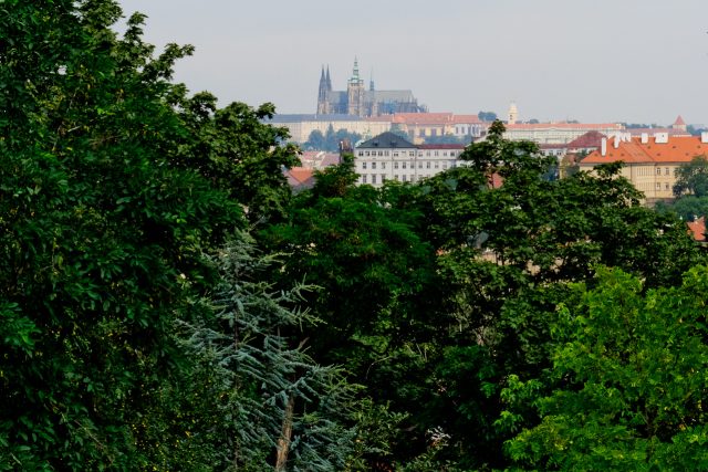 „Praha nedostatečně motivuje k tomu,  aby byly vytvářeny nové zelené plochy i drobná opatření,  například polopropustné povrchy nebo zelené střechy, “ kritizuje Václav Orcígr. | foto: Khalil Baalbaki,  Český rozhlas