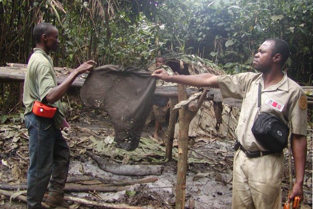 Tábor pytláků slonů v Demokratické republice Kongo | foto: University of British Columbia,  Rene Beyers