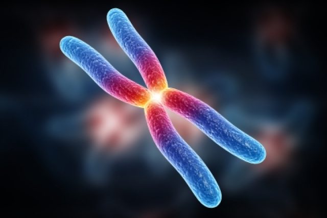 Chromozom  (ilustrační foto) | foto: Free Digital Photos