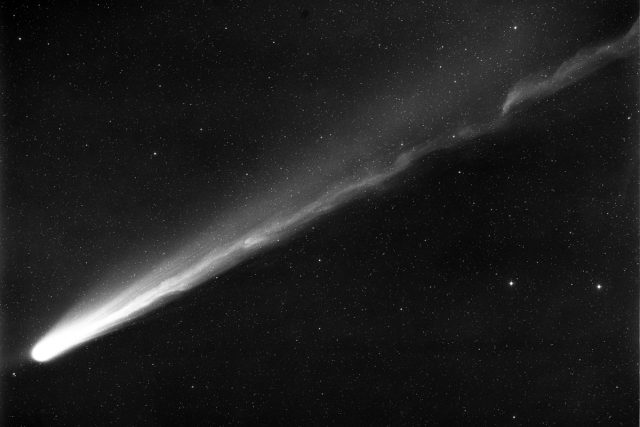 Kohoutkova kometa | foto:  Palomar Observatory