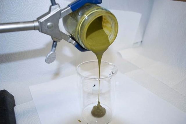 V americké laboratoři se podařilo vyrobit ropné látky z mořských řas | foto:  Pacific Northwest National Laboratory