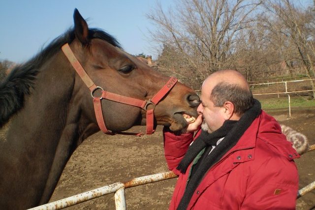Slavný dostihový kůň Overdose s majitelem Zoltánem Mikóczem | foto: Gregor Martin Papucsek