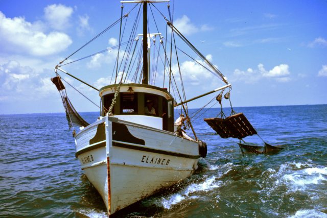 Malá rybářská loď využívá vlečných sítí k lovu krevet | foto:  NOAA