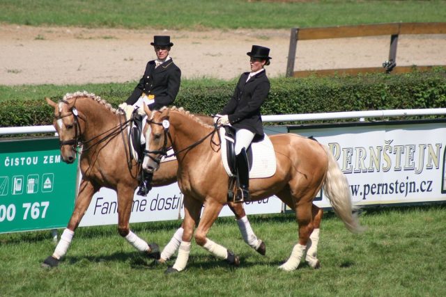 Koně Kinských v plné kráse na závodech | foto:  archiv Jezdecké školy Equus Kinsky