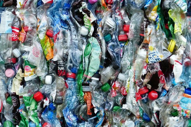 Enzym,  původně objevený v kompostu,  redukuje láhve na chemikálie,  které jsou poté použity k výrobě nových láhví | foto: Public domain,  Fotobanka Pixabay