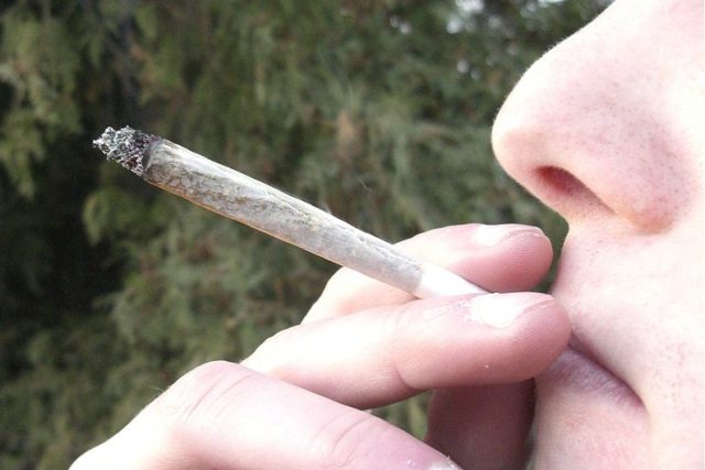 Odborník na drogovou problematiku Mark Kleiman z Newyorské univerzity se domnívá,  že joint marihuany nebude stát víc než pytlík s čajem | foto: Creative Commons Attribution-ShareAlike 3.0 Unported