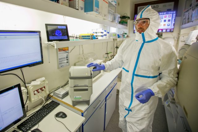 Test od brněnských vědců rozpozná ebolu do půl hodiny | foto:  Mendelova univerzita v Brně