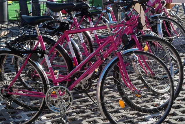 Lidé si můžou v Českých Budějovicích půjčovat růžová kola | foto: Karel Kerlický