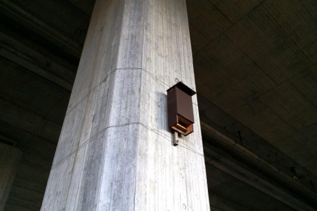 Budka pro netopýry na dálničním sloupu  (ilustrační foto) | foto: Jan Bachorík,  Český rozhlas