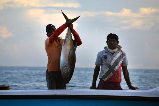 rybolov,  rybáři,  tuňák,  ryba | foto: Fotobanka Pixabay