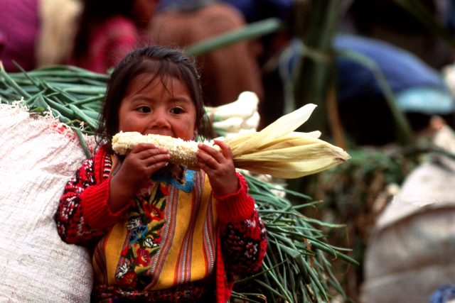 Mayské dítě s kukuřicí | foto: Profimedia