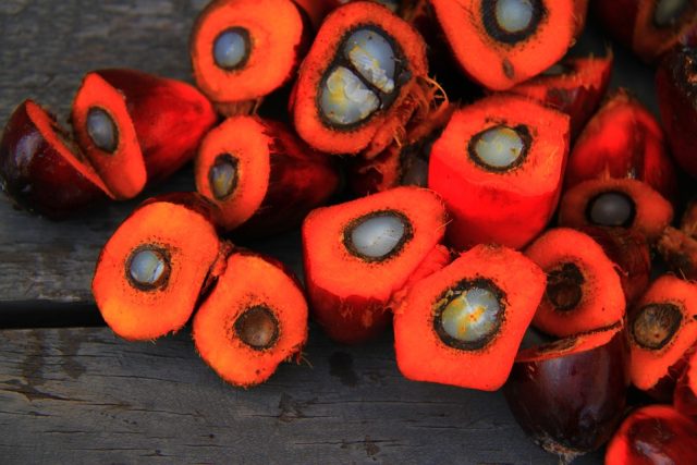 Palmový olej je získáván z oplodí palmy olejné | foto: Fotobanka Pixabay