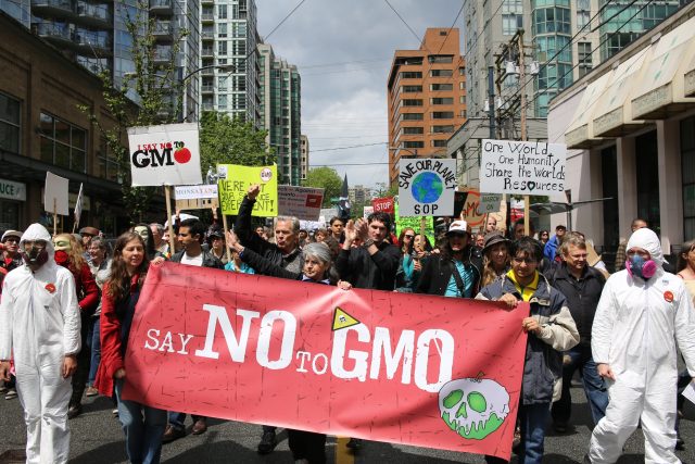 V severní Americe,  ještě nedávno hojně využívající GMO,  se začíná zvedat odpor vůči modifikovaným potravinám | foto:  CC BY 2.0,  Rosalee Yagihara