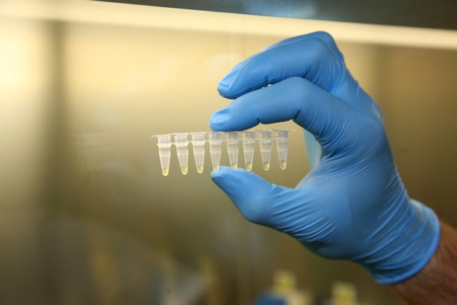 Vzorky DNA připravené k analýze | foto:  Policie Jihočeského kraje