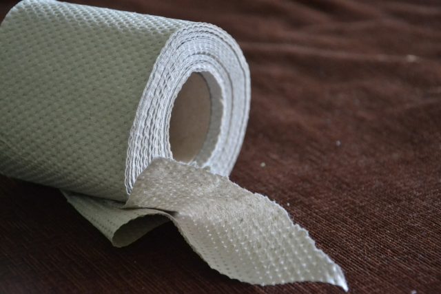 Toaletní papír | foto: Fotobanka Pixabay