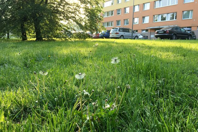 Ve Frýdku-Místku sečení trávy přizpůsobí počasí | foto: Josef Kopecký,  Český rozhlas
