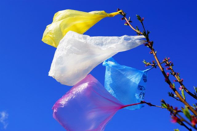 Zní to báječně,  ale takové pytlíky bohužel problém s plastovými odpady prakticky neřeší | foto: European Parliament,   CC BY-NC-ND 2.0